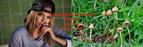 ешки Алексеевка