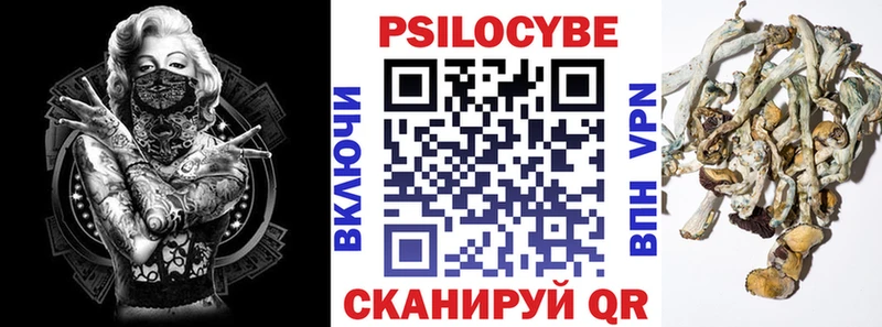 дарк нет как зайти мега tor Салехард где продают Псилоцибиновые грибы GOLDEN TEACHER